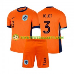 3-13 år Barn Nederland drakt Matthijs de Ligt 3 Hjemme Euro 2024 Korte Ermer 3-13 år Barn Nederland drakt Matthijs de Ligt 3 Hjemme Euro 2024 Korte Ermer