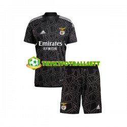 3-13 år Barn Keeper Benfica drakt Borte 2022-23 Korte Ermer 3-13 år Barn Keeper Benfica drakt Borte 2022-23 Korte Ermer