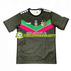 Herre Club Deportivo Palestino drakt Borte 2022-23 Korte Ermer Herre Club Deportivo Palestino drakt Borte 2022-23 Korte Ermer