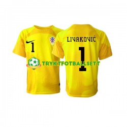 Herre Keeper Kroatia drakt Dominik Livakovic 1 Hjemme VM 2022 Korte Ermer Herre Keeper Kroatia drakt Dominik Livakovic 1 Hjemme VM 2022 Korte Ermer