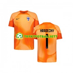 Herre Keeper Finland drakt HRADECKY 1 Hjemme 2022-23 Korte Ermer Herre Keeper Finland drakt HRADECKY 1 Hjemme 2022-23 Korte Ermer