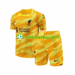 3-13 år Barn Liverpool drakt Tredje 2023-2024 Korte Ermer 3-13 år Barn Liverpool drakt Tredje 2023-2024 Korte Ermer