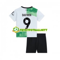 3-13 år Barn Liverpool drakt Darwin Nunez 9 Borte 2023-2024 Korte Ermer 3-13 år Barn Liverpool drakt Darwin Nunez 9 Borte 2023-2024 Korte Ermer