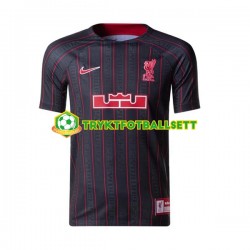 Herre Liverpool drakt x LeBron James Hjemme 2022-23 Korte Ermer Herre Liverpool drakt x LeBron James Hjemme 2022-23 Korte Ermer