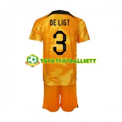 3-13 år Barn Nederland drakt Matthijs de Ligt 3 Hjemme VM 2022 Korte Ermer 3-13 år Barn Nederland drakt Matthijs de Ligt 3 Hjemme VM 2022 Korte Ermer