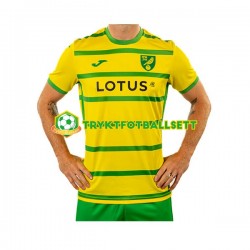 Herre Norwich City drakt Hjemme 2023-2024 Korte Ermer Herre Norwich City drakt Hjemme 2023-2024 Korte Ermer