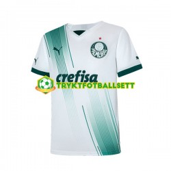 Herre Palmeiras drakt Borte 2023-2024 Korte Ermer Herre Palmeiras drakt Borte 2023-2024 Korte Ermer