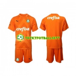 3-13 år Barn Keeper Palmeiras drakt Tredje 2022-23 Korte Ermer 3-13 år Barn Keeper Palmeiras drakt Tredje 2022-23 Korte Ermer