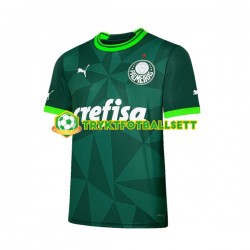 Herre Palmeiras drakt Hjemme 2023-2024 Korte Ermer Herre Palmeiras drakt Hjemme 2023-2024 Korte Ermer