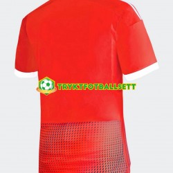 Herre Peru drakt Borte 2023 Korte Ermer