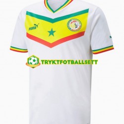 Herre Senegal drakt Hjemme VM 2022 Korte Ermer Herre Senegal drakt Hjemme VM 2022 Korte Ermer
