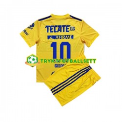 3-13 år Barn Tigres UANL drakt Andre-Pierre Gignac 10 Hjemme 2022-23 Korte Ermer 3-13 år Barn Tigres UANL drakt Andre-Pierre Gignac 10 Hjemme 2022-23 Korte Ermer